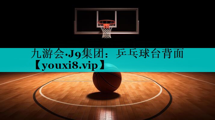 乒乓球台背面